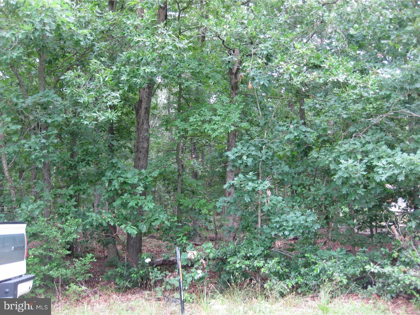 127 Hogbin Road Millville, NJ 08332 - Photo 3 of 4 Gallery Image 3