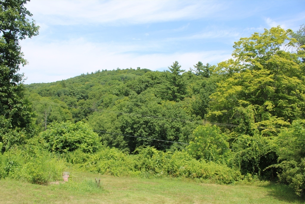 288 Truce Road Conway, MA 01341 - Photo 6 of 26