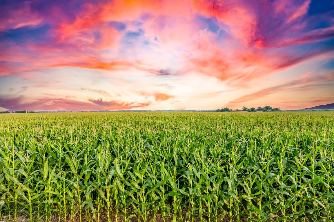 445 County Road 445 Taylor, TX 76574 - Photo 11 of 16 a view of a yard