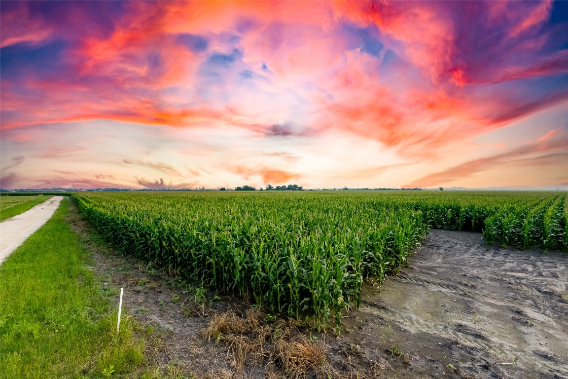445 County Road 445 Taylor, TX 76574 - Photo 12 of 16 a view of a garden with a building