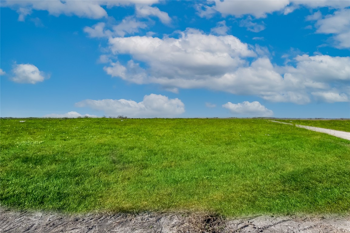 445 County Road 445 Taylor, TX 76574 - Photo 3 of 16
