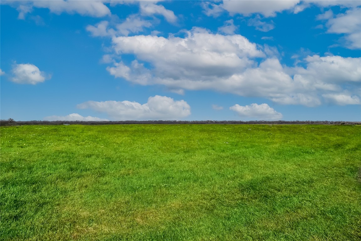 445 County Road 445 Taylor, TX 76574 - Photo 8 of 16 a view of yard with outdoor space