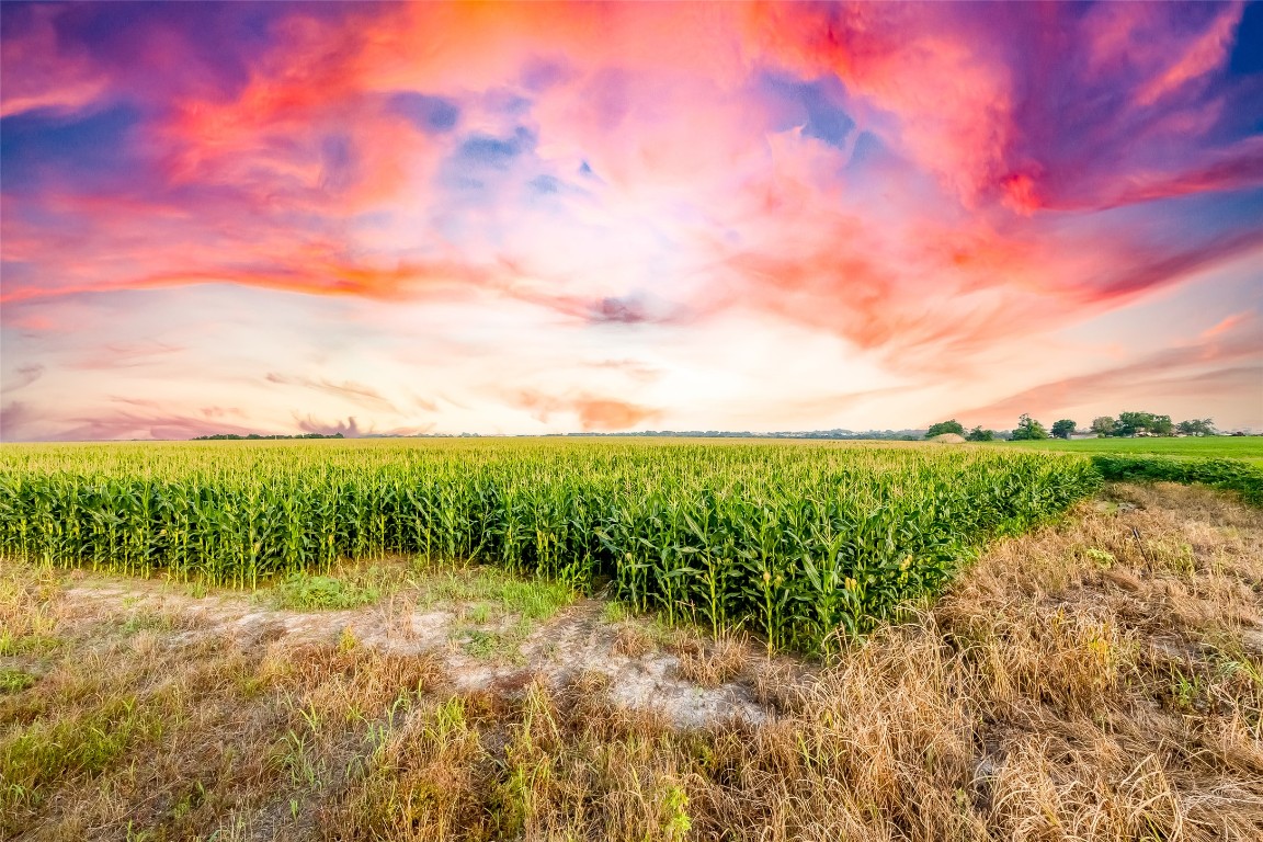 445 County Road 445 Taylor, TX 76574 - Photo 10 of 16 a view of a yard with a lake view