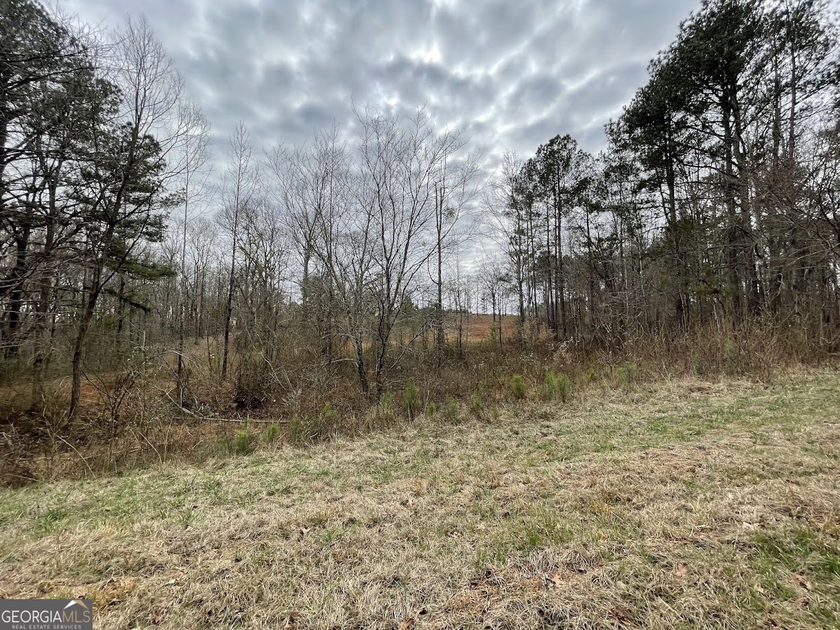 600 Reynolds Road Woodbury, GA 30293 - Photo 7 of 15