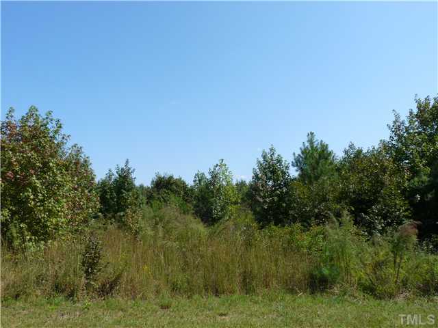 Lot 1 Bacon Road, Unit 1 Timberlake, NC 27583 - Photo 3 of 5 a view of a lush green space