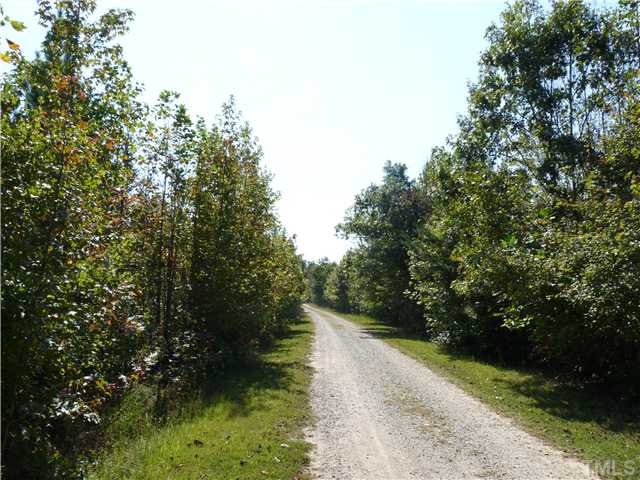 Lot 1 Bacon Road, Unit 1 Timberlake, NC 27583 - Photo 5 of 5 a view of street view with outdoor space