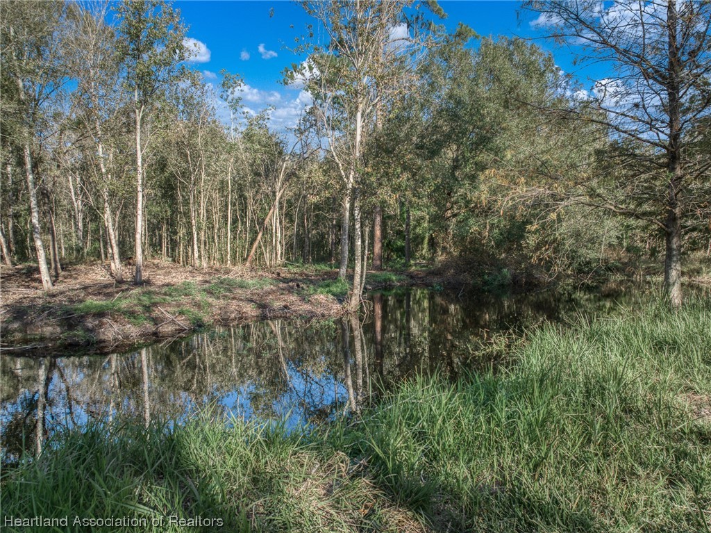 104 Ballard Road Avon Park, FL 33825 - Photo 31 of 48 Gallery Image 31