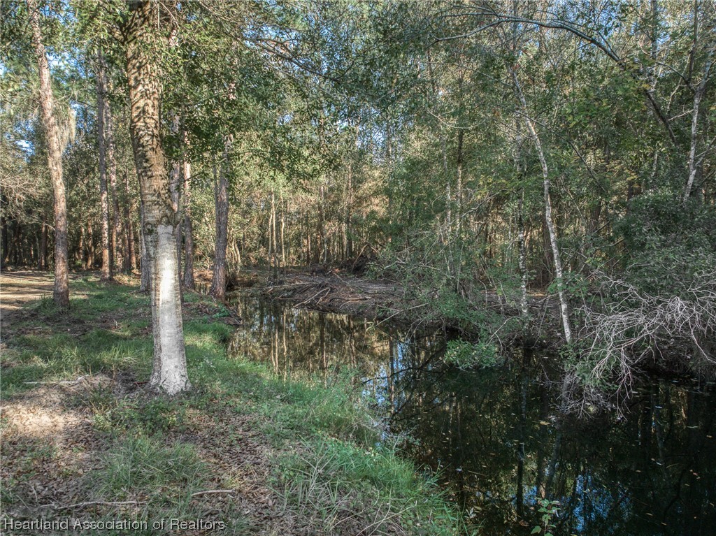 104 Ballard Road Avon Park, FL 33825 - Photo 42 of 48 Gallery Image 42