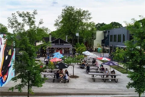 a view of a park with large trees