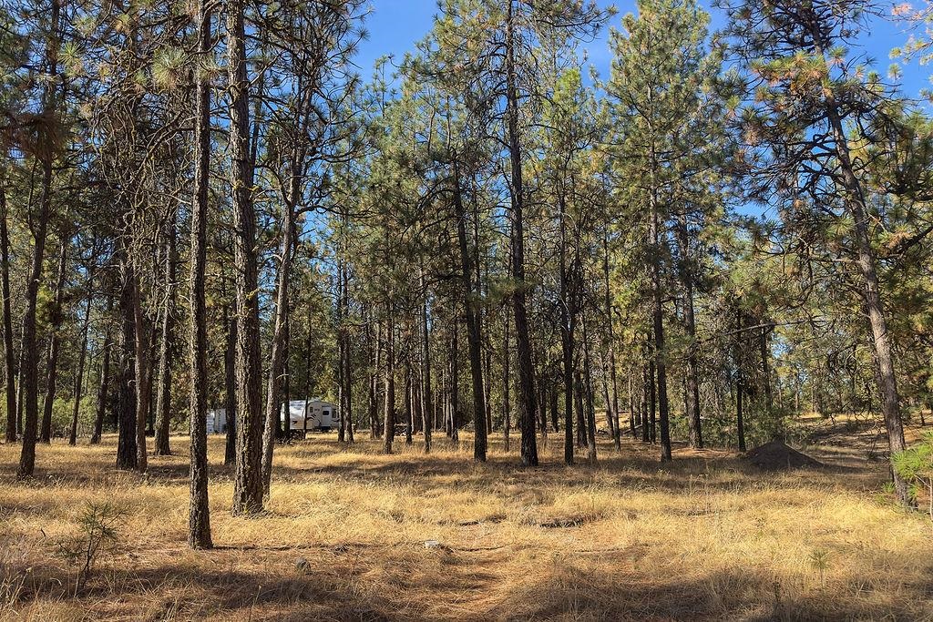 1212 South Brooks Road Medical Lake, WA 99022 - Photo 14 of 21