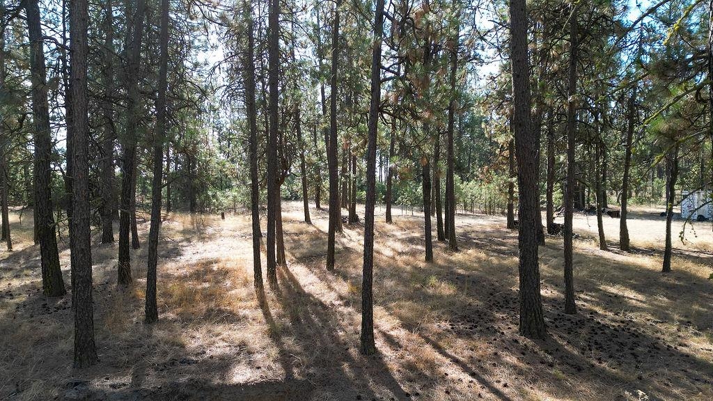 1212 South Brooks Road Medical Lake, WA 99022 - Photo 5 of 21