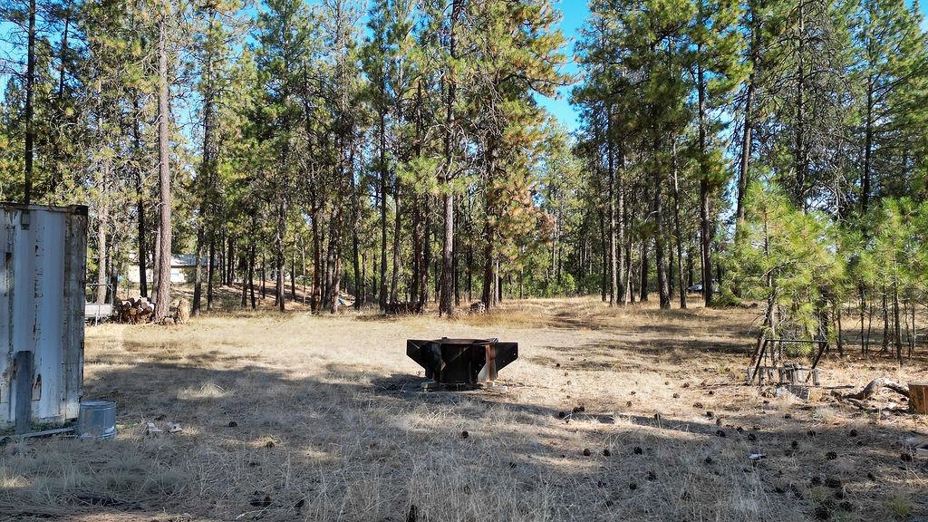 1212 South Brooks Road Medical Lake, WA 99022 - Photo 6 of 21