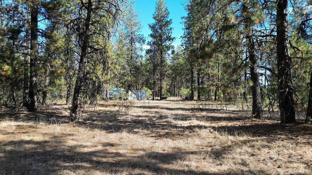 1212 South Brooks Road Medical Lake, WA 99022 - Photo 7 of 21