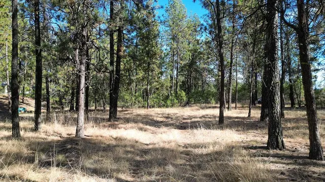 $235,000 | 1212 South Brooks Road, Medical Lake, WA 99022