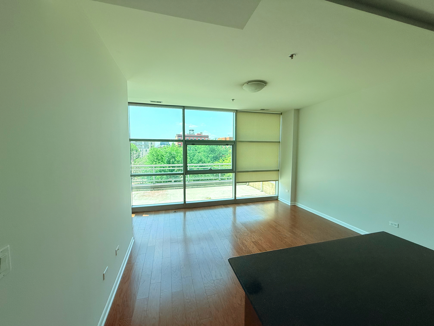 225 South Sangamon Street, Unit 310 Chicago, IL 60607 - Photo 4 of 10 Gallery Image 4