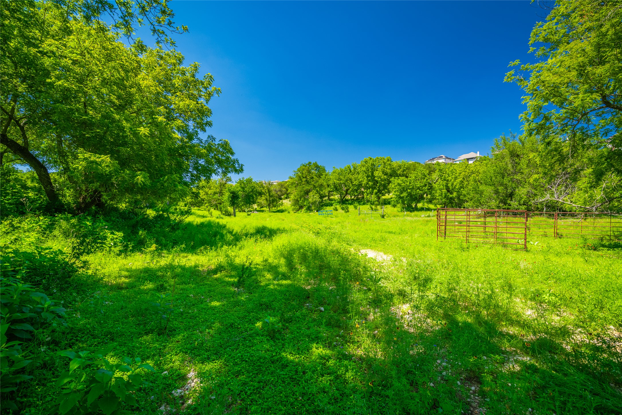 0 Trails End Road Leander, TX 78641 - Photo 37 of 40 a view of a large yard with a large tree