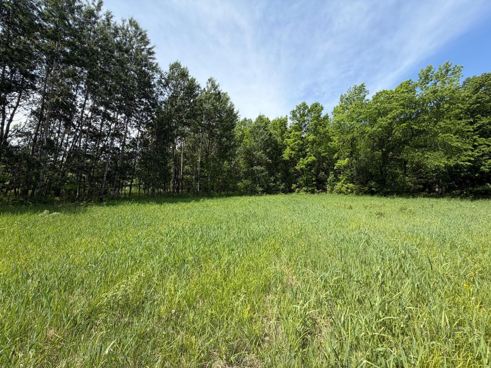 Tbd-b 180th Street Milaca, MN 56353 - Photo 23 of 80