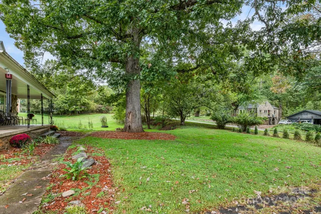a view of a park with large trees