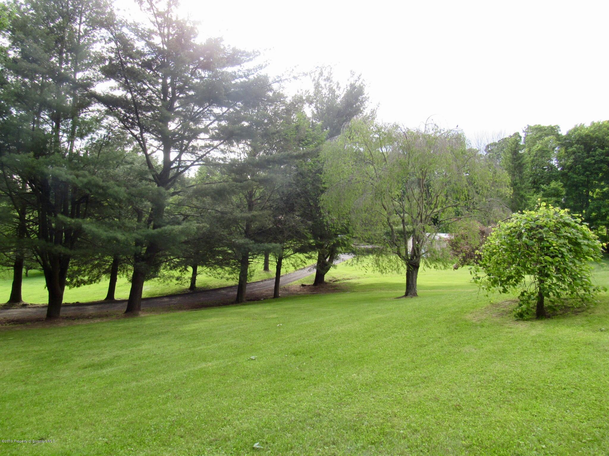 76 Ripplebrook Road Tunkhannock, PA 18657 - Photo 35 of 37 a view of field with trees