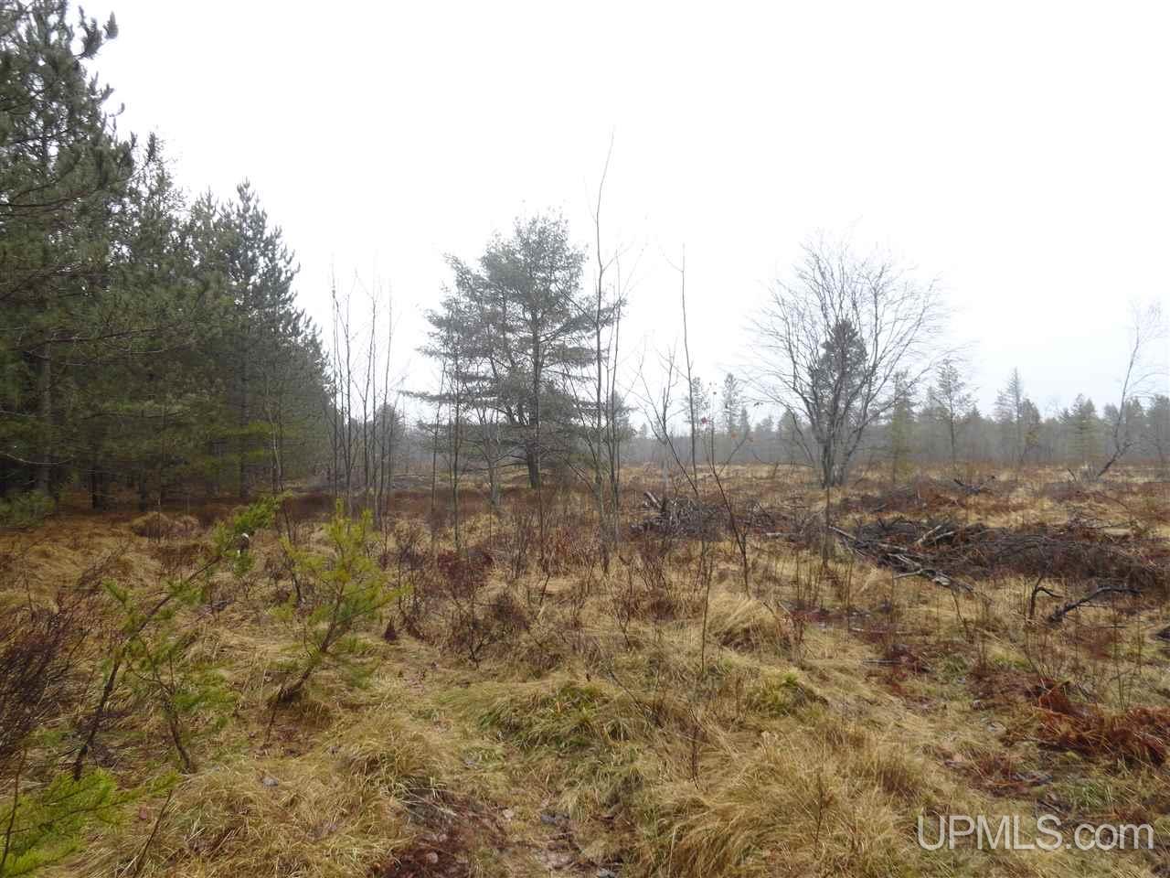 36-acres Off Flodin Road Manistique, MI 49854 - Photo 2 of 13