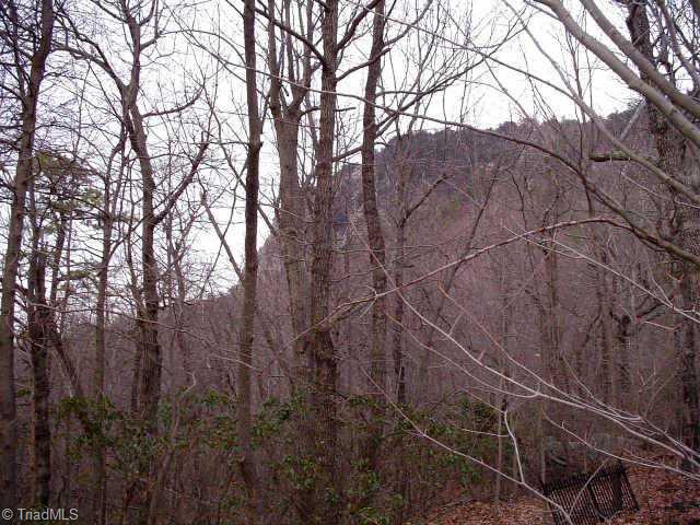 1220 Tomahawk Road Westfield, NC 27053 - Photo 6 of 8 Other. Hanging Rock from the backyard.