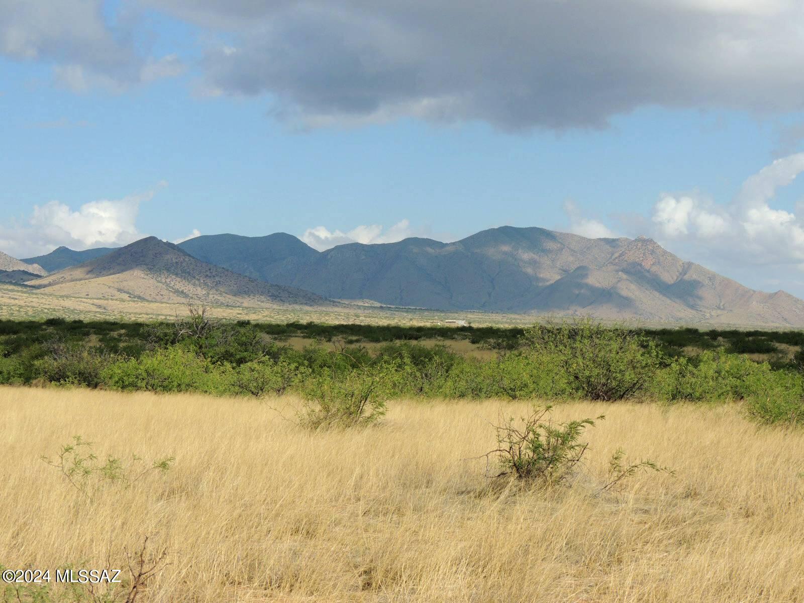 40 Ac - 1/4 M W Off Stronghold Road Cochise, AZ 85606 - Photo 7 of 17