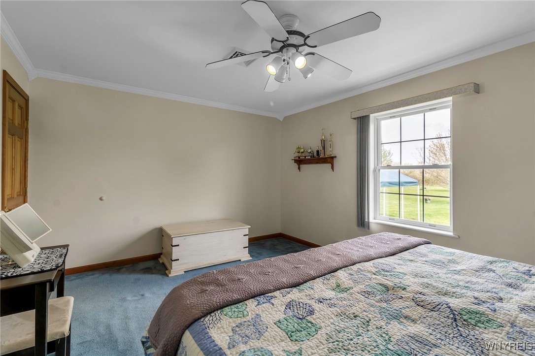 1250 Backus Road Evans, NY 14047 - Photo 22 of 50