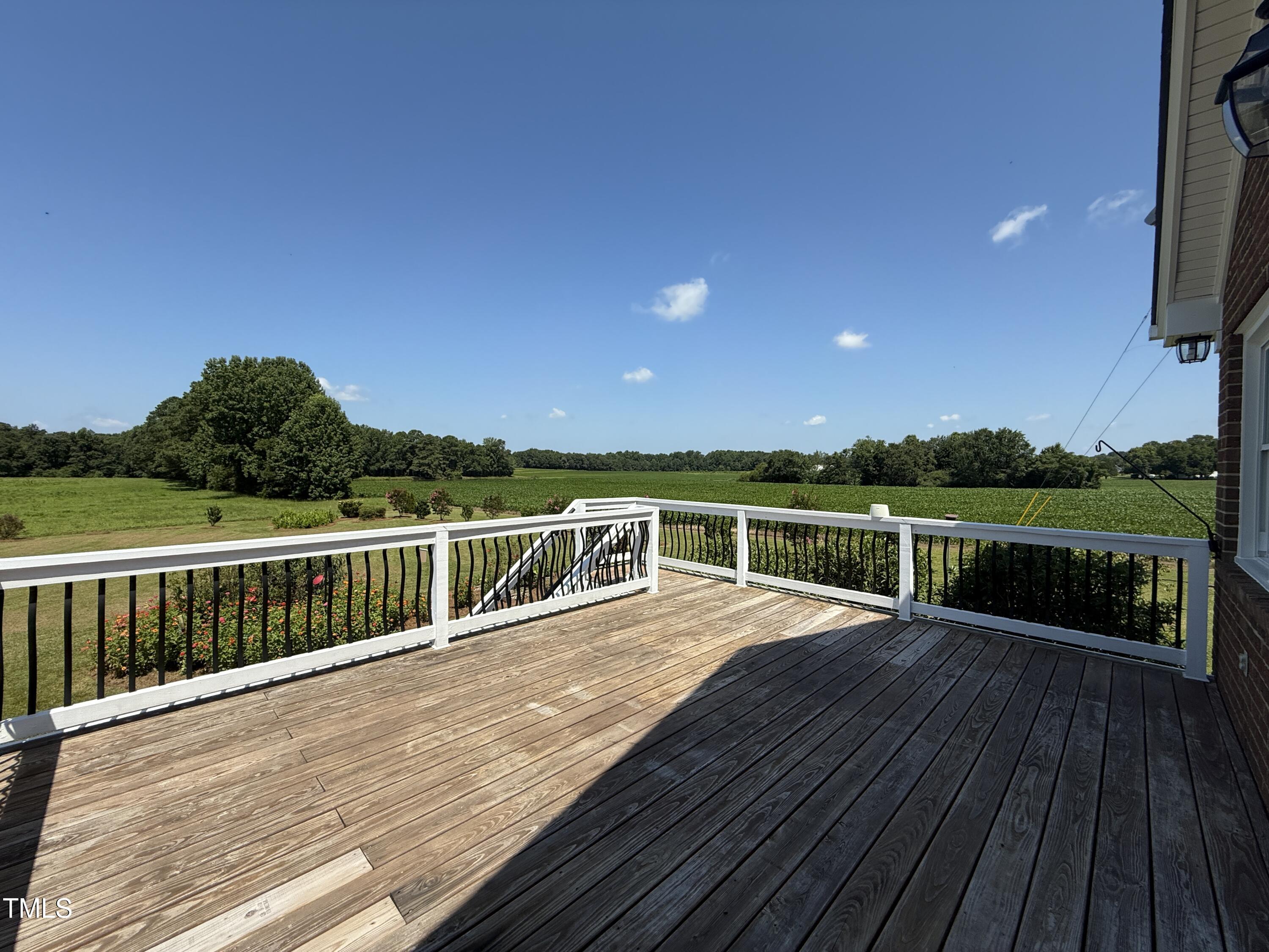 4221 Zacks Mill Road Angier, NC 27501 - Photo 51 of 57 IMG_4864