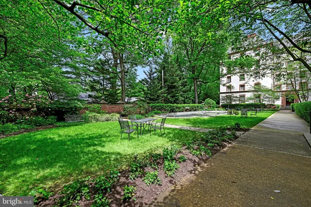 a view of a park with large trees