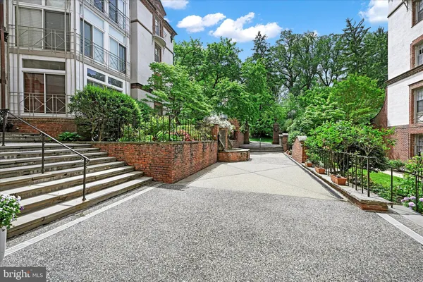 a view of a backyard with plants