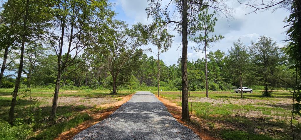 L1 New Hinson Road Slocomb, AL 36375 - Photo 26 of 30