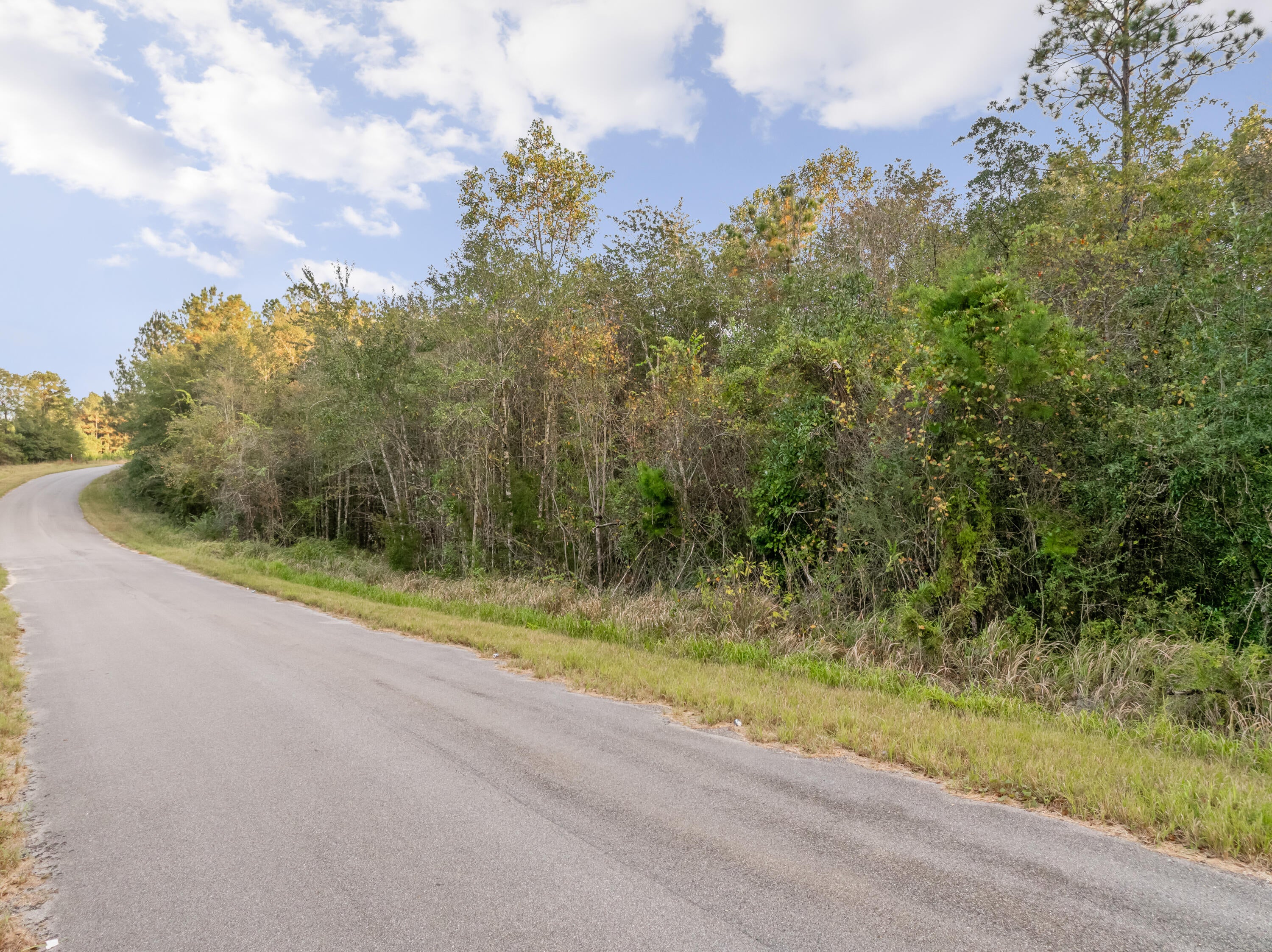 10.4 Pete Miles Road Lucedale, MS 39452 - Photo 4 of 25 00_Pete_Miles_Rd-4