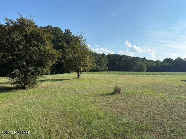 6171 Old Raleigh Road Sims, NC 27880 - Photo 8 of 36 Davis pic28