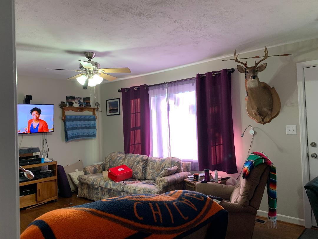 2052 Meadors Spur Road Moneta, VA 24121 - Photo 7 of 14 Living Room