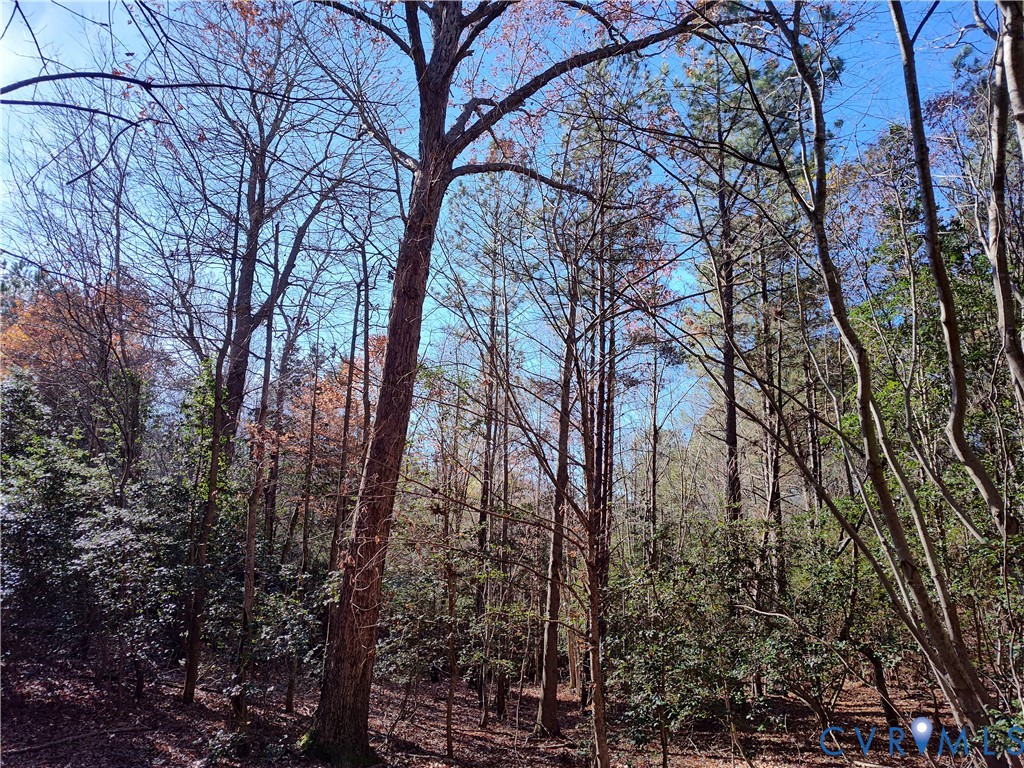108.5-ac Buzzards Neck Road Lancaster, VA 22503 - Photo 46 of 50