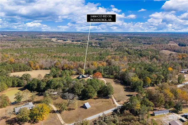 $1,200,000 | 1466 County Road 59, Roanoke, AL 36274