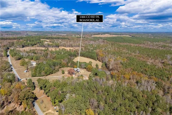 $1,200,000 | 1466 County Road 59, Roanoke, AL 36274