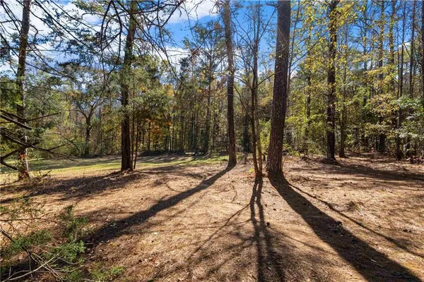 $1,200,000 | 1466 County Road 59, Roanoke, AL 36274