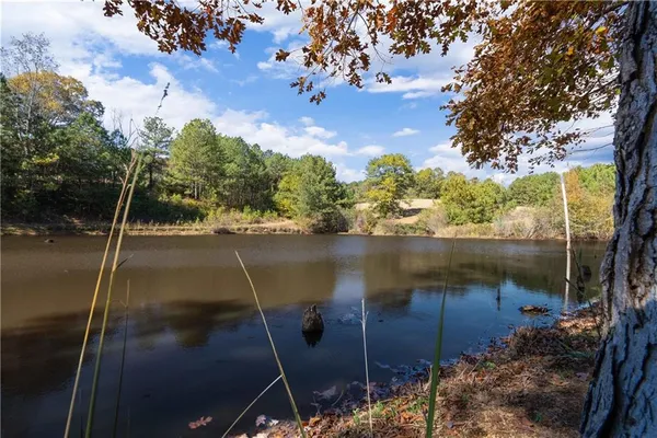 $1,200,000 | 1466 County Road 59, Roanoke, AL 36274