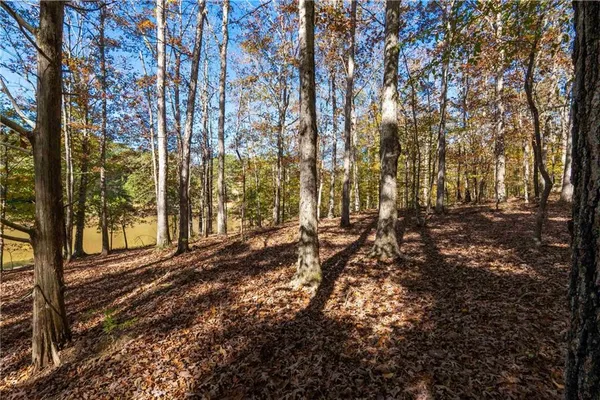 $1,200,000 | 1466 County Road 59, Roanoke, AL 36274