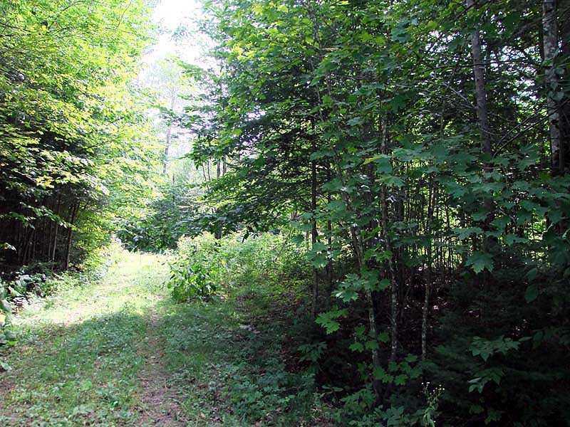 6 Monument Road Amity, ME 04471 - Photo 4 of 26 Land.