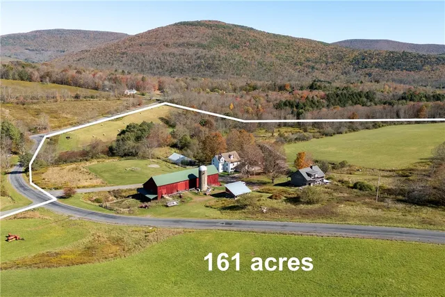 $1,500,000 | 3536 New Kingston Mountain Road, Roxbury, NY 12474