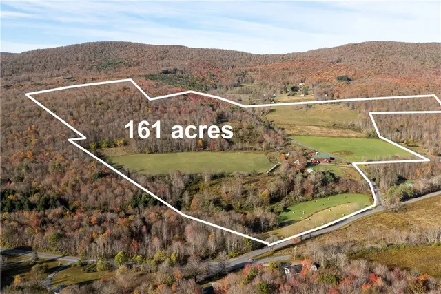 $1,500,000 | 3536 New Kingston Mountain Road, Roxbury, NY 12474