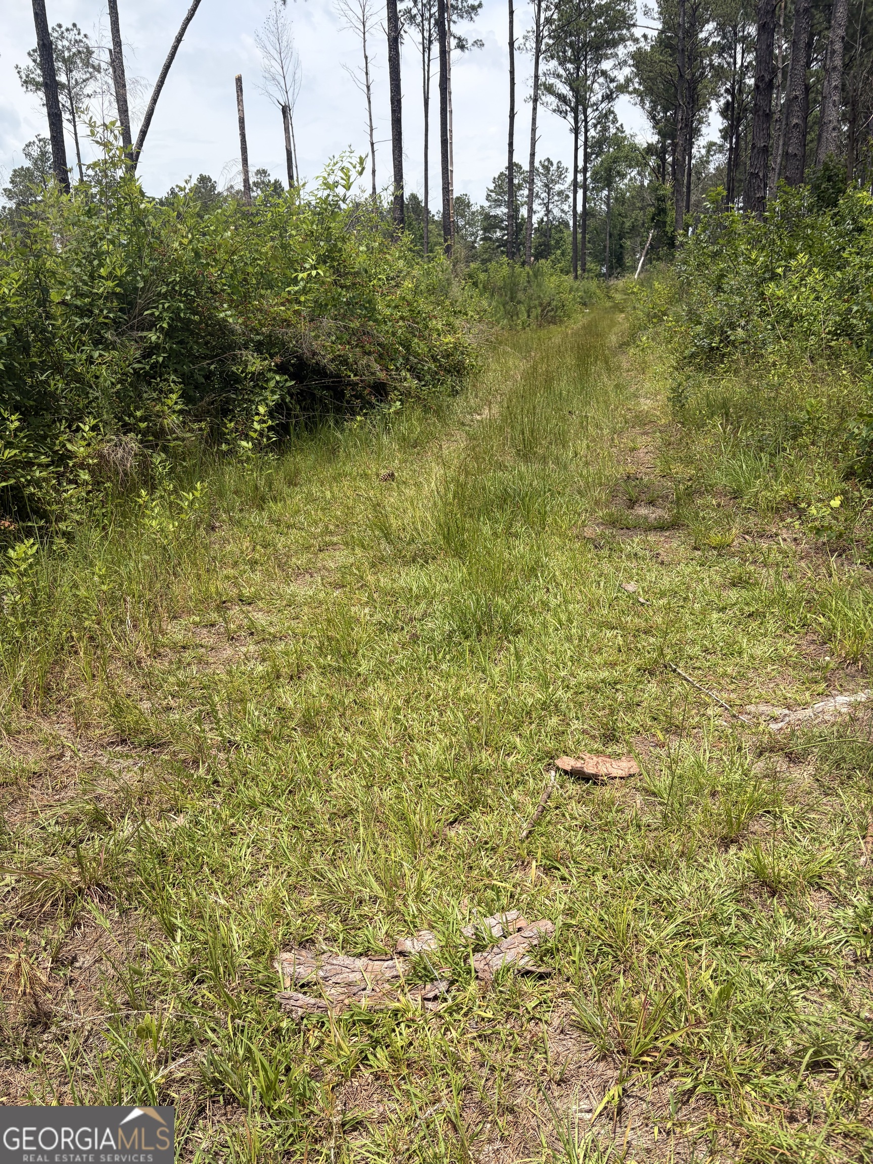 10 Sunhill Grange Road Sandersville, GA 31018 - Photo 11 of 12