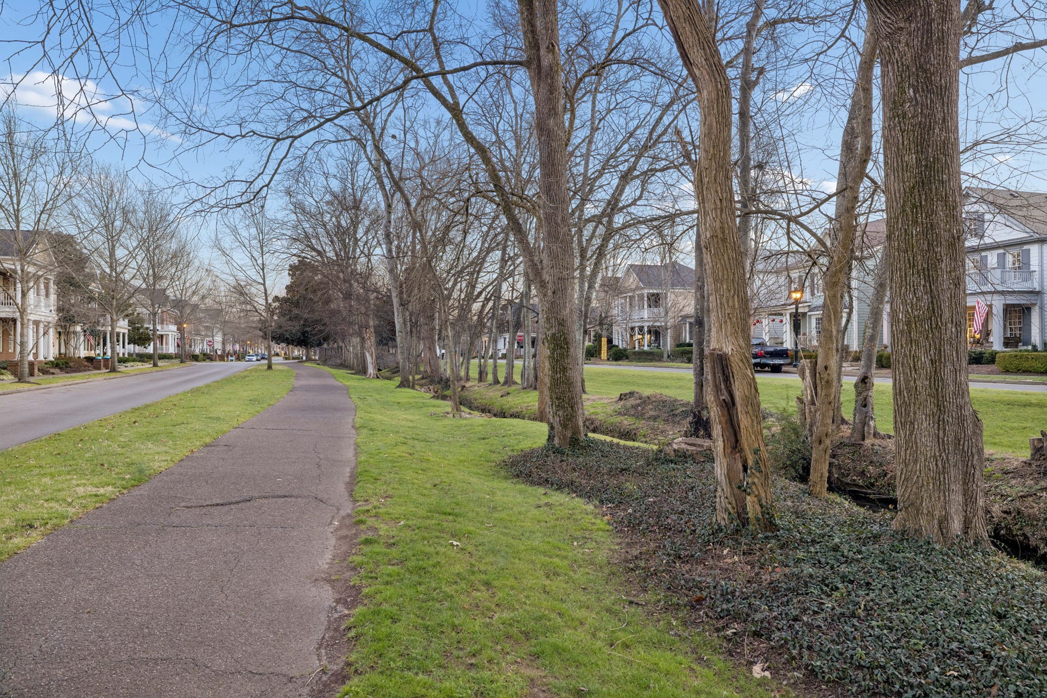 102 Pearl Street Franklin, TN 37064 - Photo 67 of 71 a view of a park with large trees