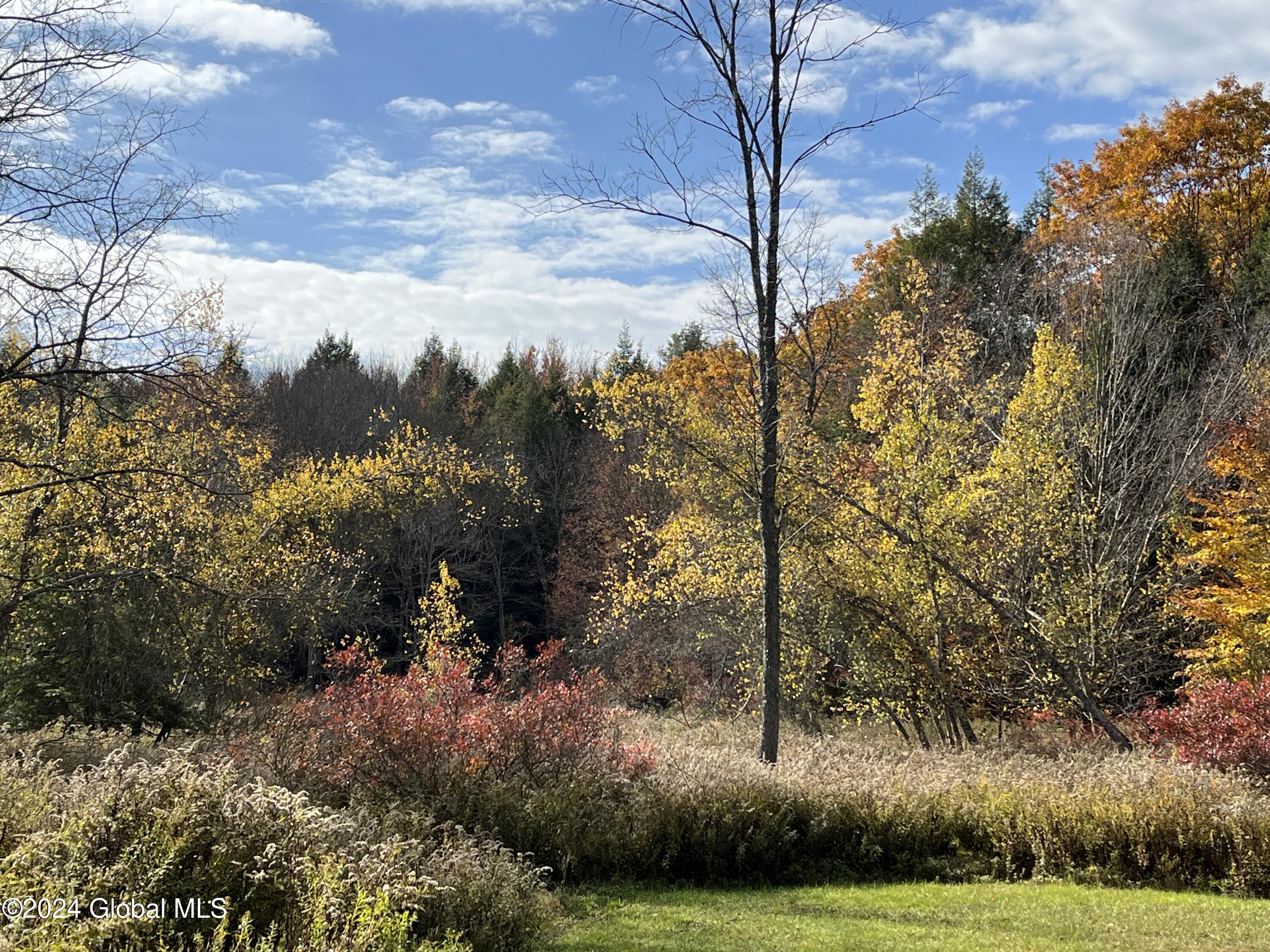 361 Fifty Six Road Poestenkill, NY 12138 - Photo 19 of 32 56-22