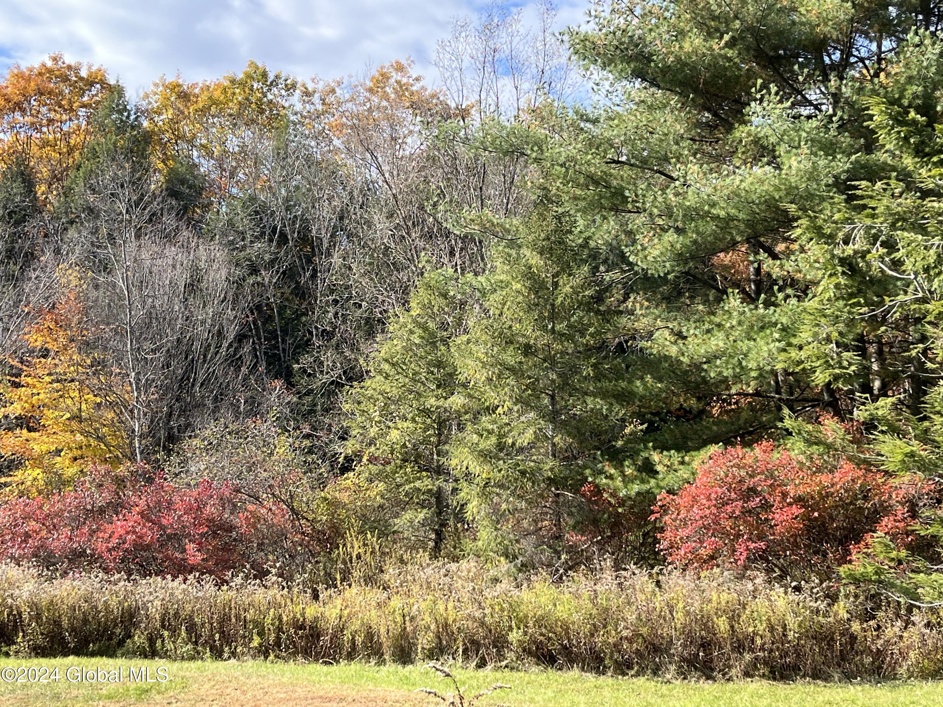 361 Fifty Six Road Poestenkill, NY 12138 - Photo 20 of 32 56-23