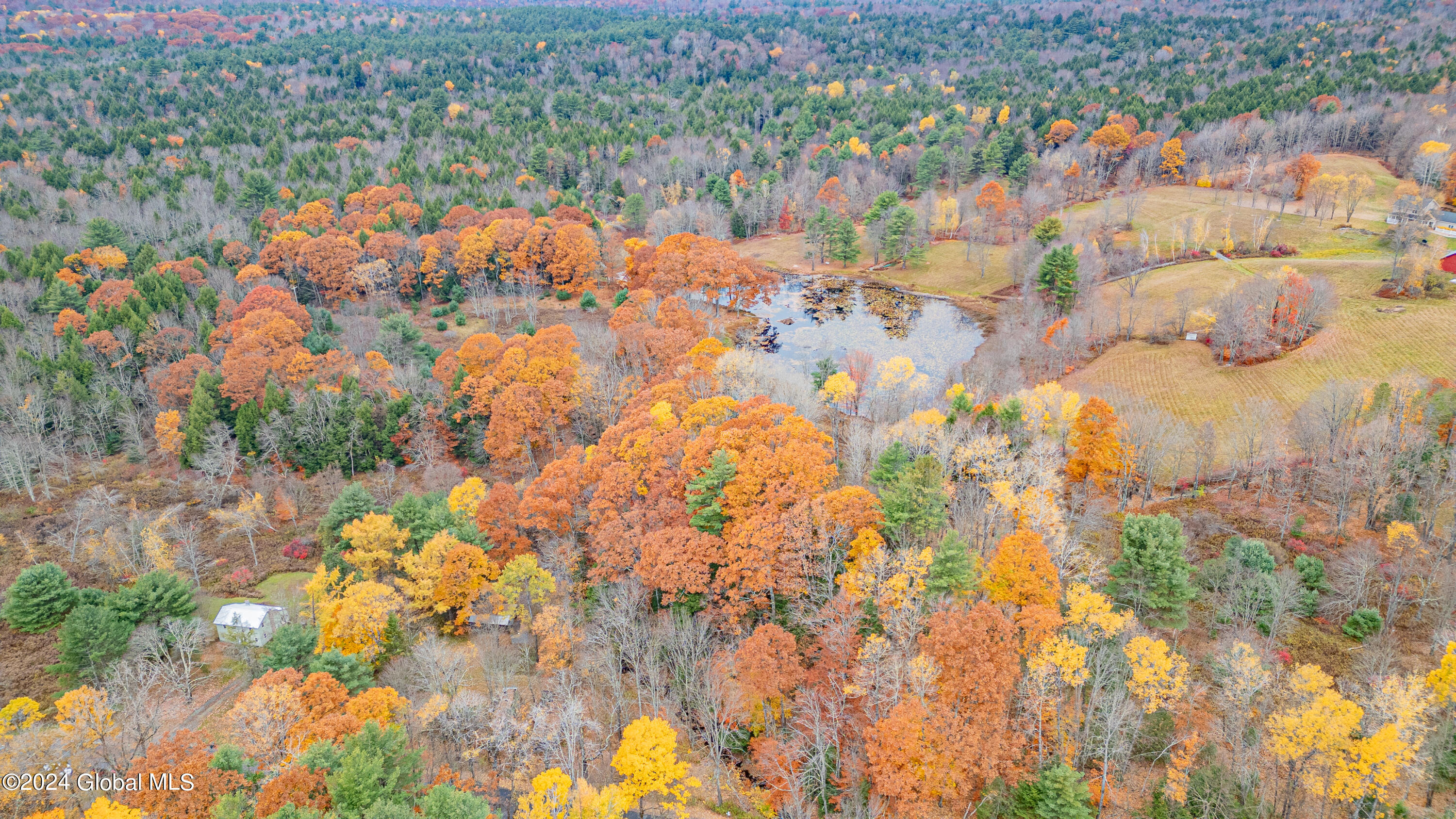 361 Fifty Six Road Poestenkill, NY 12138 - Photo 28 of 32 Air Photo 4