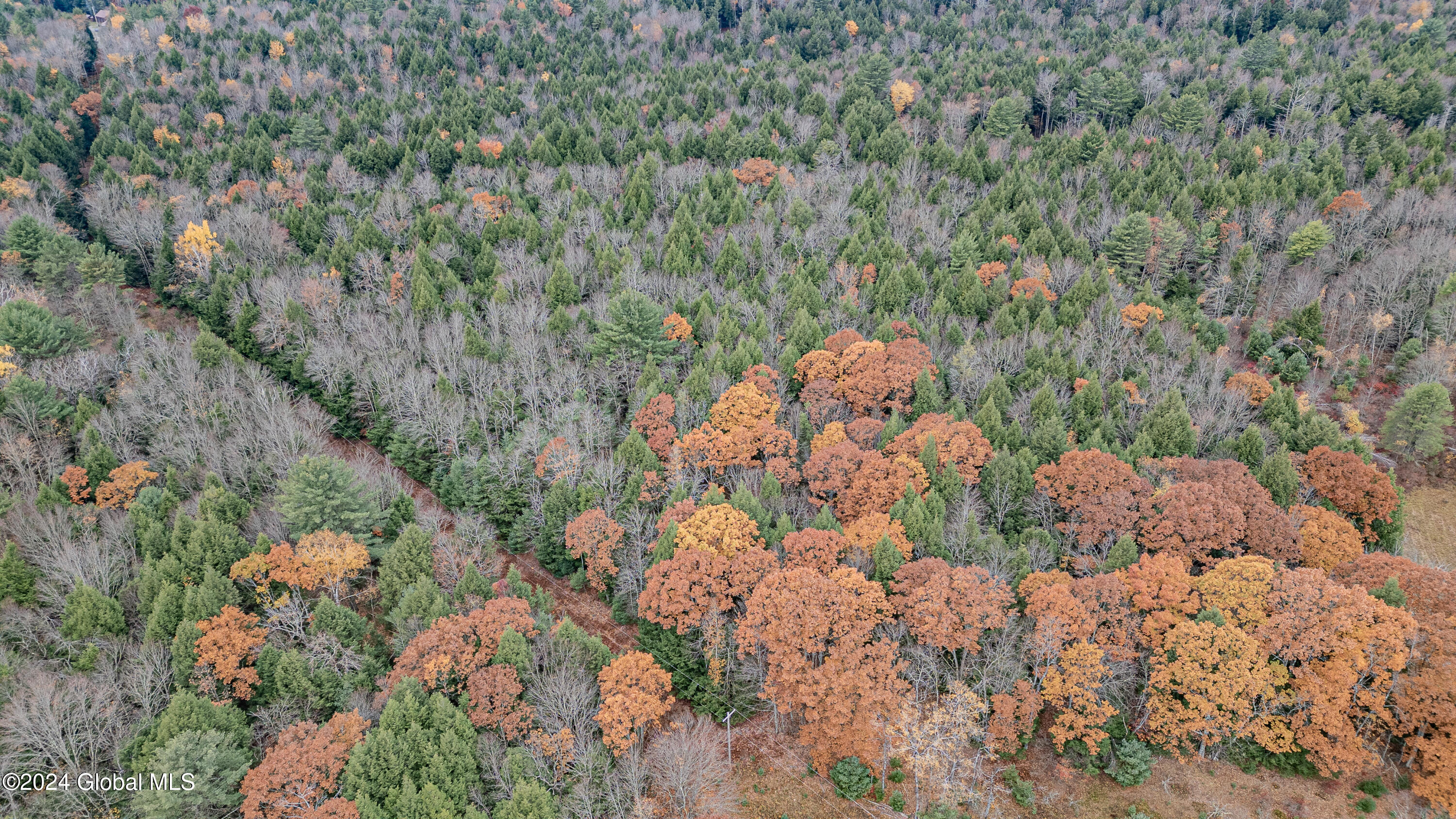 361 Fifty Six Road Poestenkill, NY 12138 - Photo 31 of 32 Air Photo 9