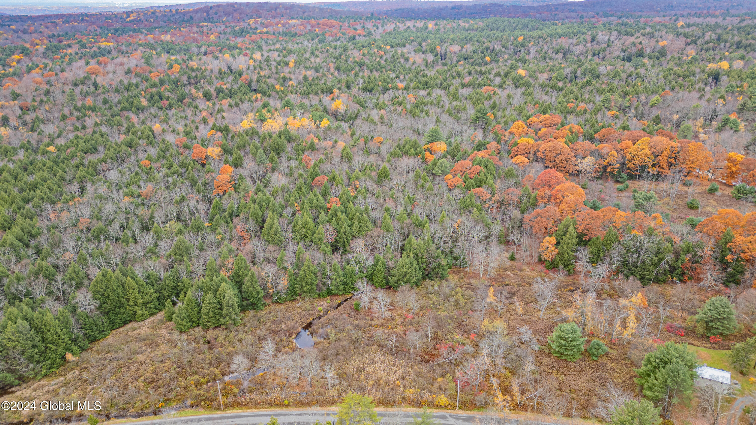 361 Fifty Six Road Poestenkill, NY 12138 - Photo 32 of 32 Air Photo 10
